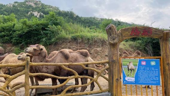 Tengzhou Wildlife Park