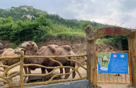 滕州市野生動物園門票成人