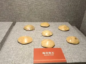 The Museum of Honghe
