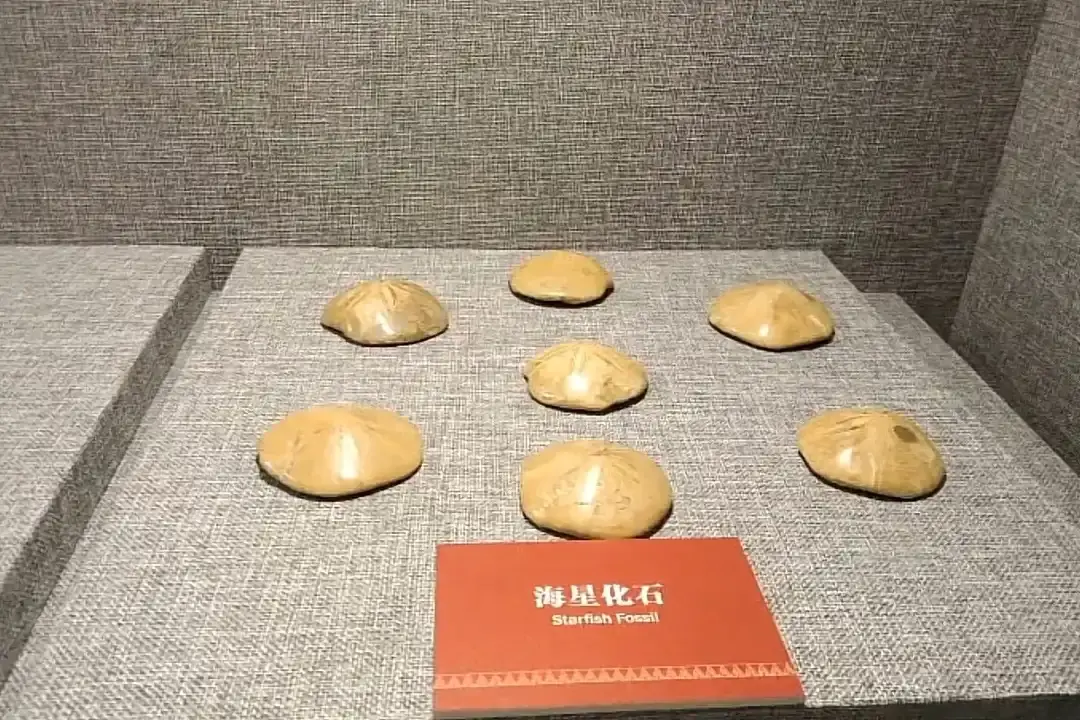 Hotels near The Museum of Honghe
