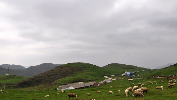 Qiandong Caohai Scenic Area