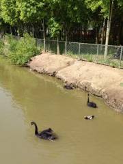 江天動物園