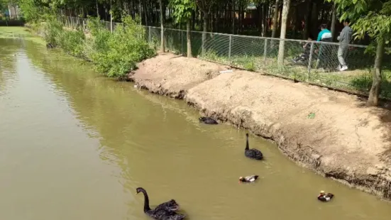 江天動物園