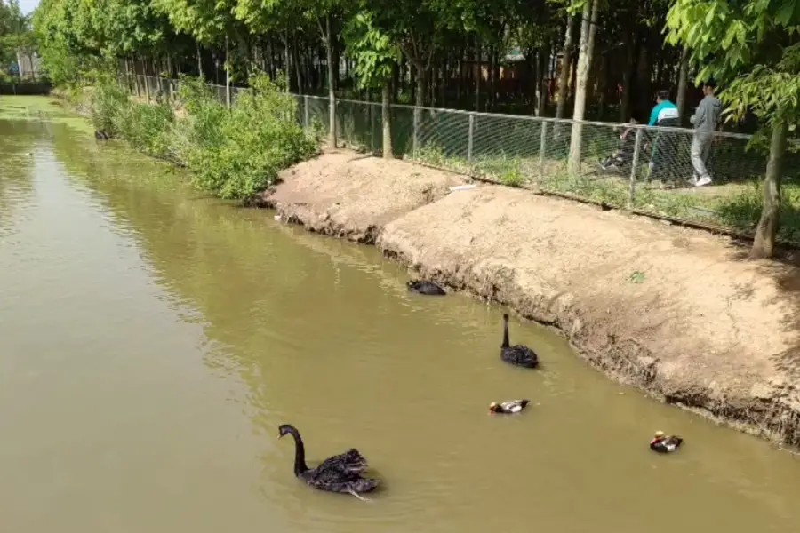 江天動物園