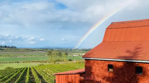 Rizzo Winery & Tasting Room in 얨힐 카운티