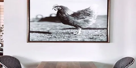 Yampa Valley Kitchen