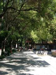 Ningyuan Garden
