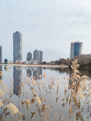 墟溝海濱公園