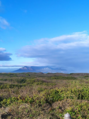 Blaauwberg Nature Reserve