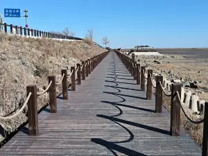 Jinzhou Linghai Red Beach