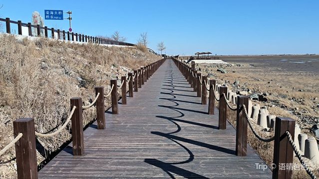 Jinzhou Linghai Red Beach