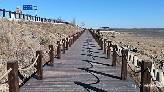 Jinzhou Linghai Red Beach