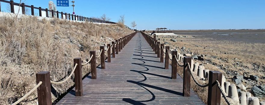 Jinzhou Linghai Red Beach