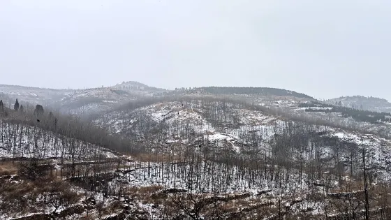 小泰山