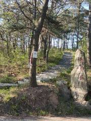 Observation Deck