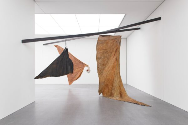 Erica Pedretti | Geneva
