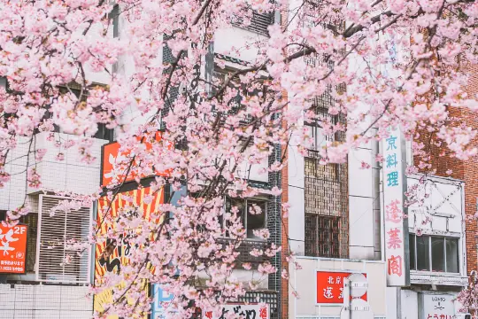 อูเอโนะ