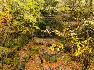 Jiufu Mountain Nature Reserve