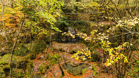 Jiufu Mountain Nature Reserve