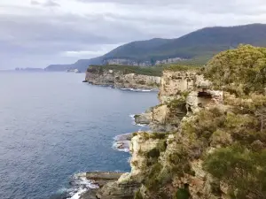 Pirates Bay