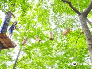 Boundless Adventures - Kenosha Zipline & Aerial Park
