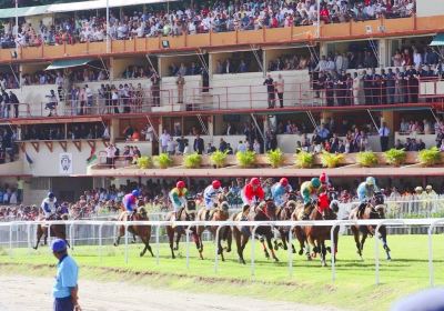 Horse Racing Track
