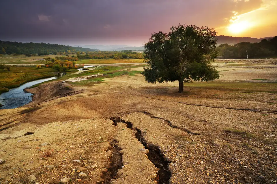 4_Yu Daokou Grassland And Forest Scenic Spot