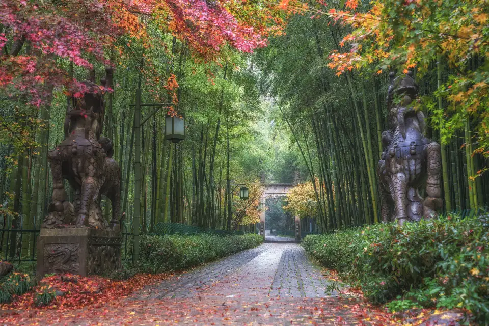 4_Bamboo-Lined Path at Yunqi