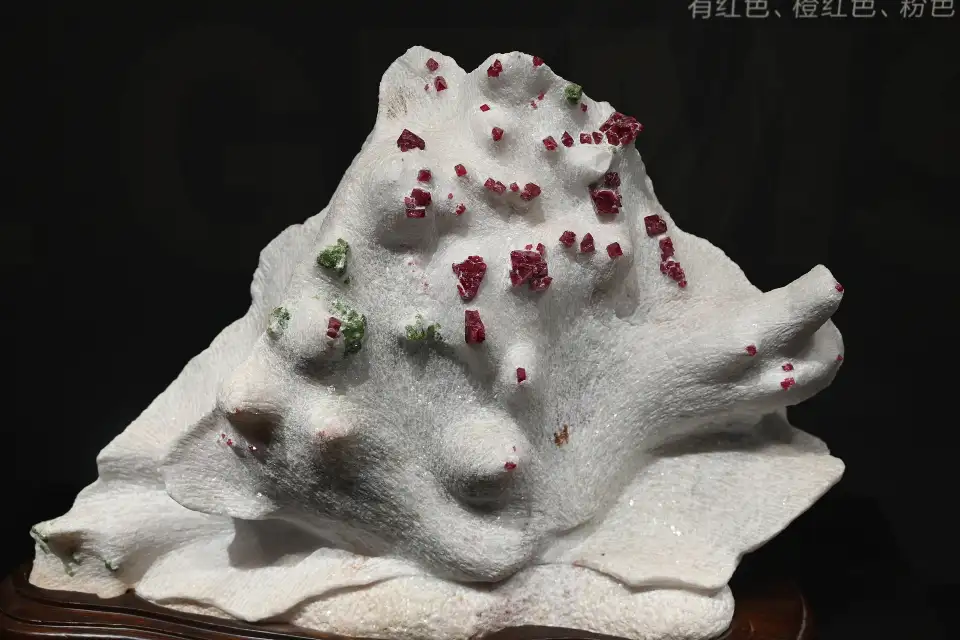 4_Chengdu Natural History Museum