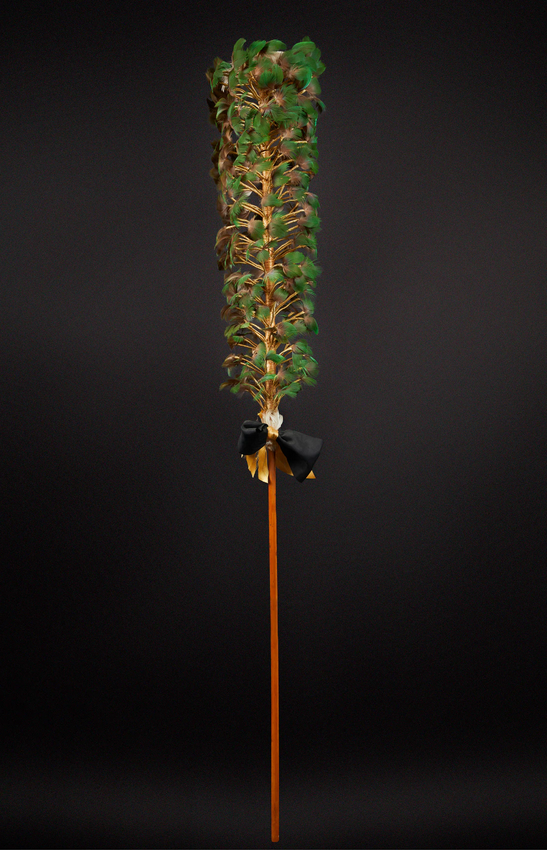 芝加哥的傳統呼啦舞展 | 菲爾德自然史博物館