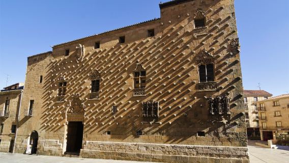 Public Library of Salamanca - Casa de las Conchas