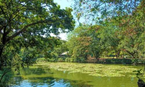 Jardin Botanico Medellin