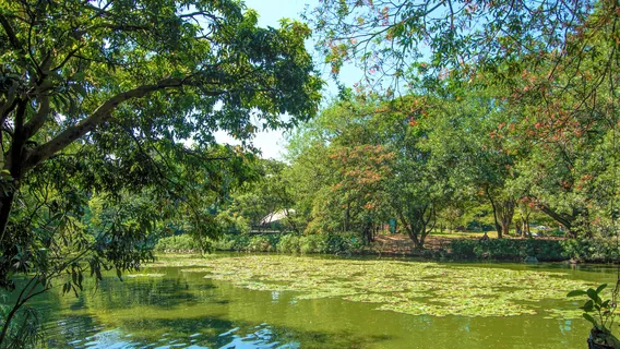 Jardin Botanico Medellin