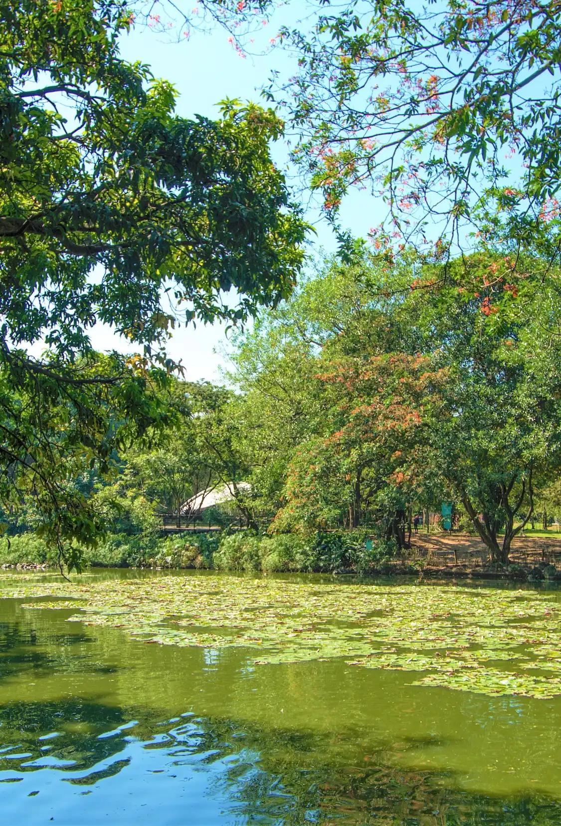 鄰近Jardin Botanico Medellin的酒店