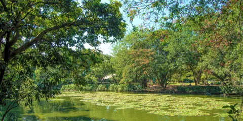 Jardin Botanico Medellin