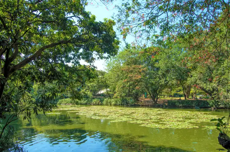 Các khách sạn gần Jardin Botanico de Medellin
