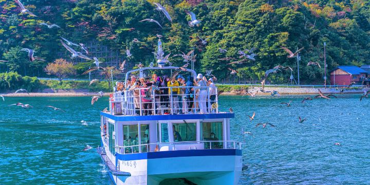 Ine Bay Sightseeing Boat