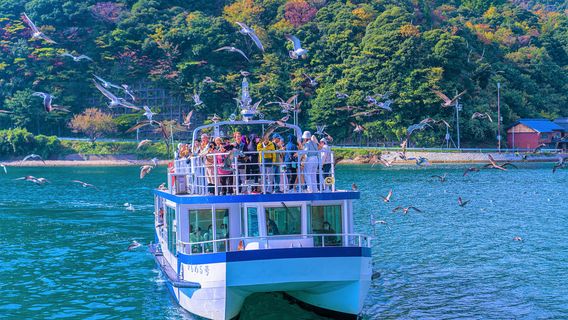 Ine Bay Sightseeing Boat