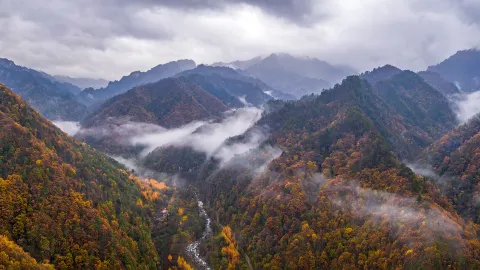 Qinling Scenic Area attraction in Xi'an