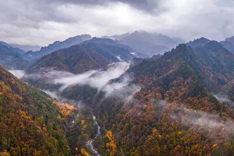 Qinling Scenic Area