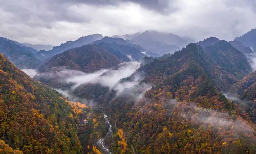 Qinling Scenic Area