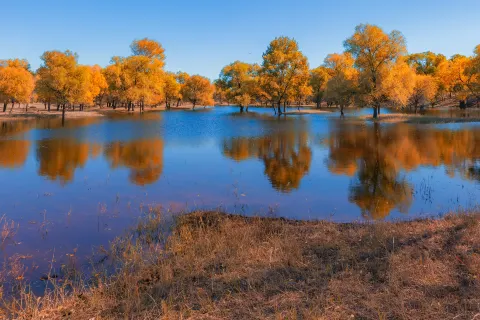 Xianghai Nature Reserve