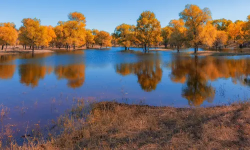Xianghai Nature Reserve