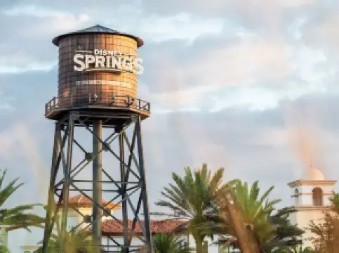 Disney Springs