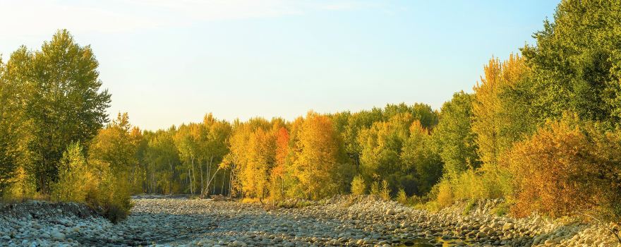 新疆阿勒泰地区旅游攻略：白哈巴村、喀纳斯湖，探秘北疆净土的奇幻之旅