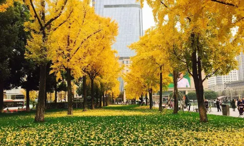 Tianfu Square