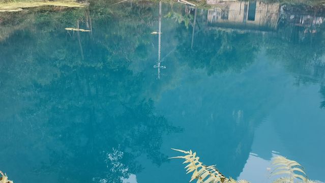 jiu dun tian chuang hai cai hua guan shang ji di ( you ke kai fang qu )