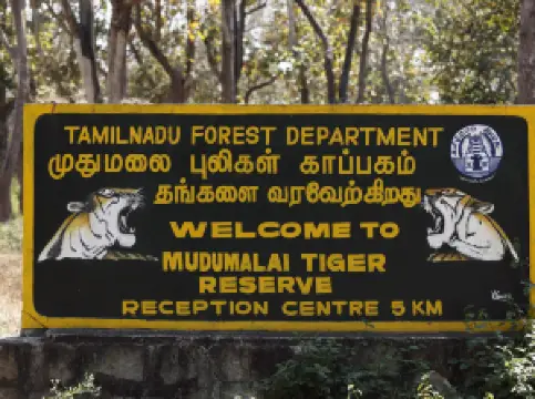 กิจกรรมในฤดูใบไม้ผลิยอดนิยมในNilgiris