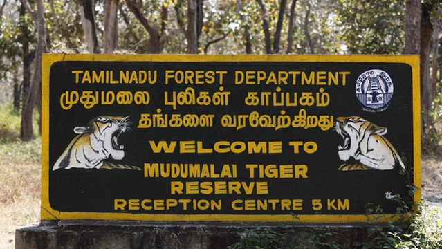 Mudumalai Tiger Reserve
