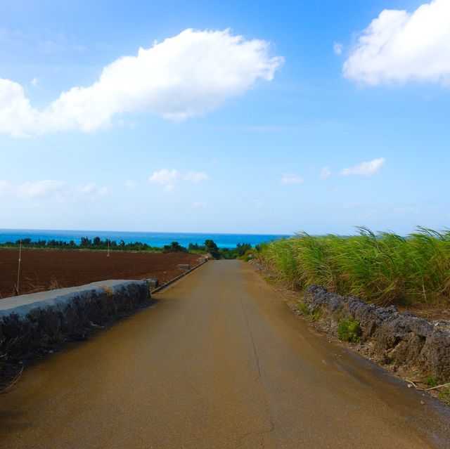宮古諸島の小さな島"来間島"﻿